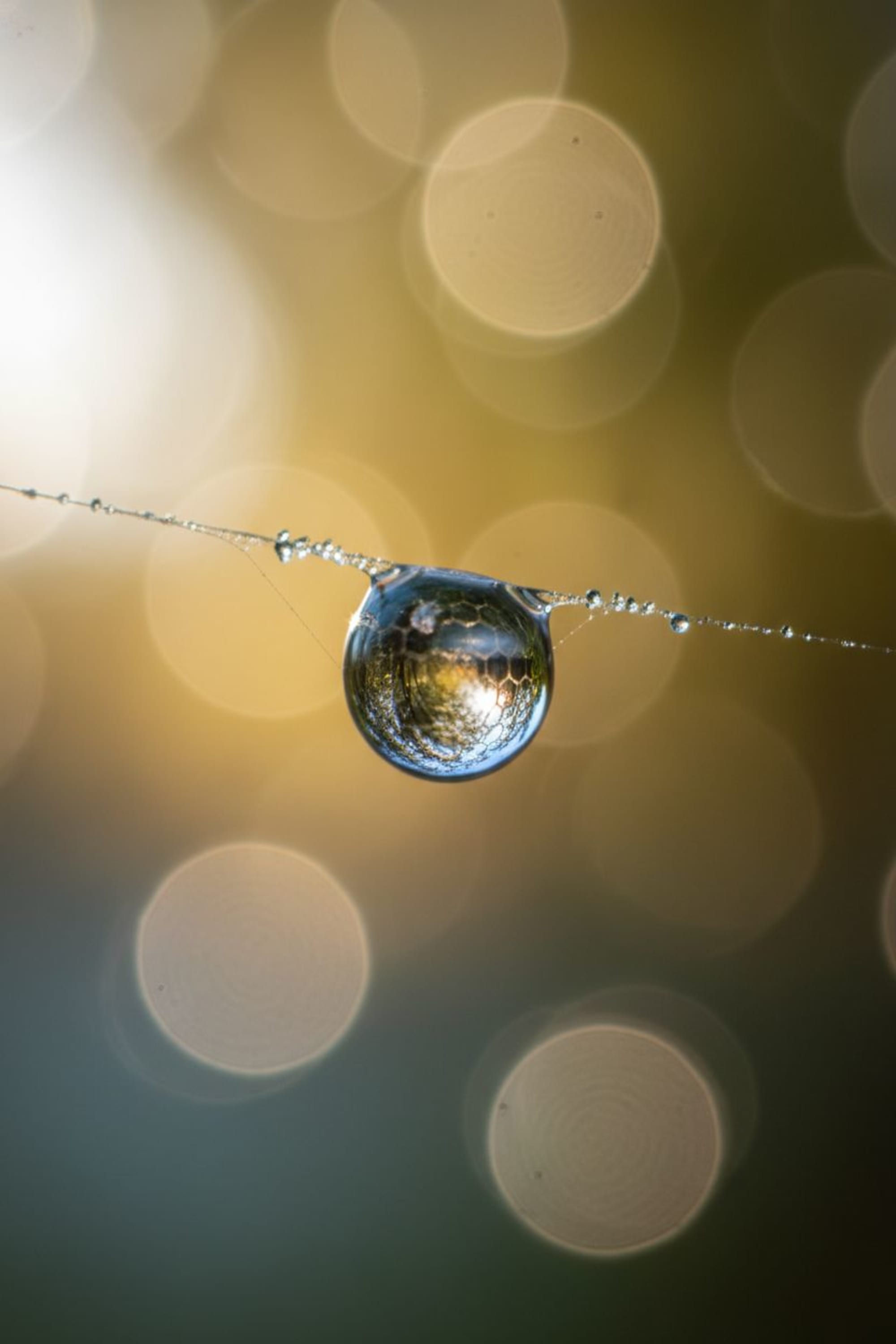 Generated image 2000x3000